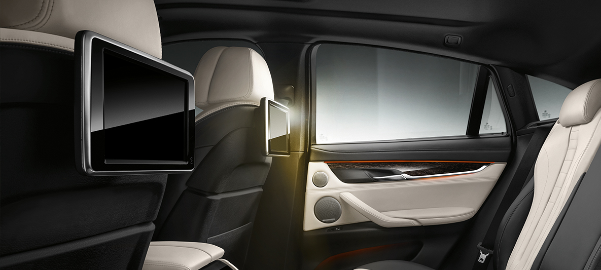 Rear-seat entertainment Professional Rear-seat entertainment Professional